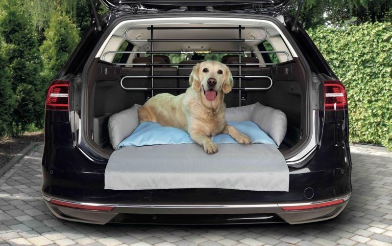 Tipperary pet owners travel in cars