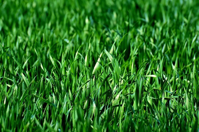 20 acre parcel of land in Tipperary sells for €175,000 at BidX1 auction