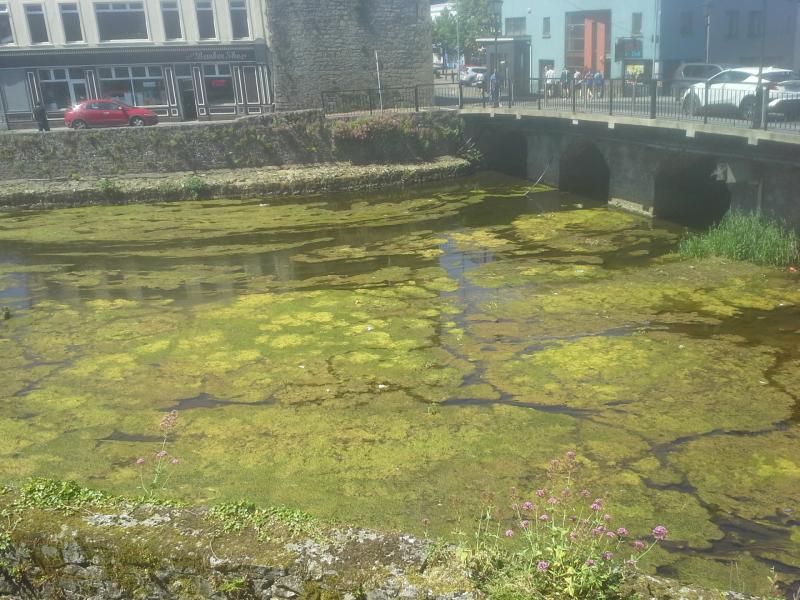 River Suir