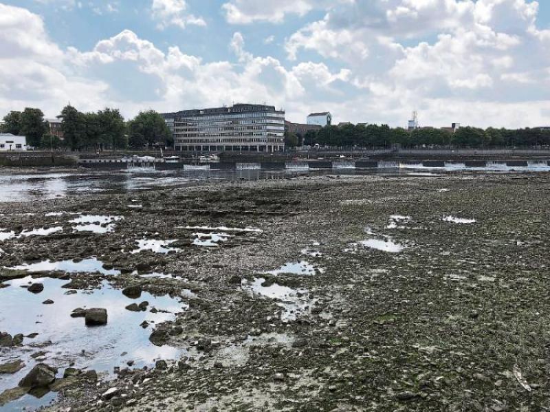 Tipperary water fears as River Shannon levels impact on ESB generating capacity
