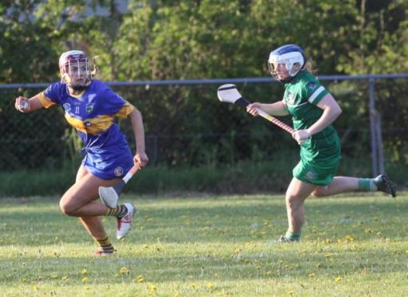 Orla O'Dwyer