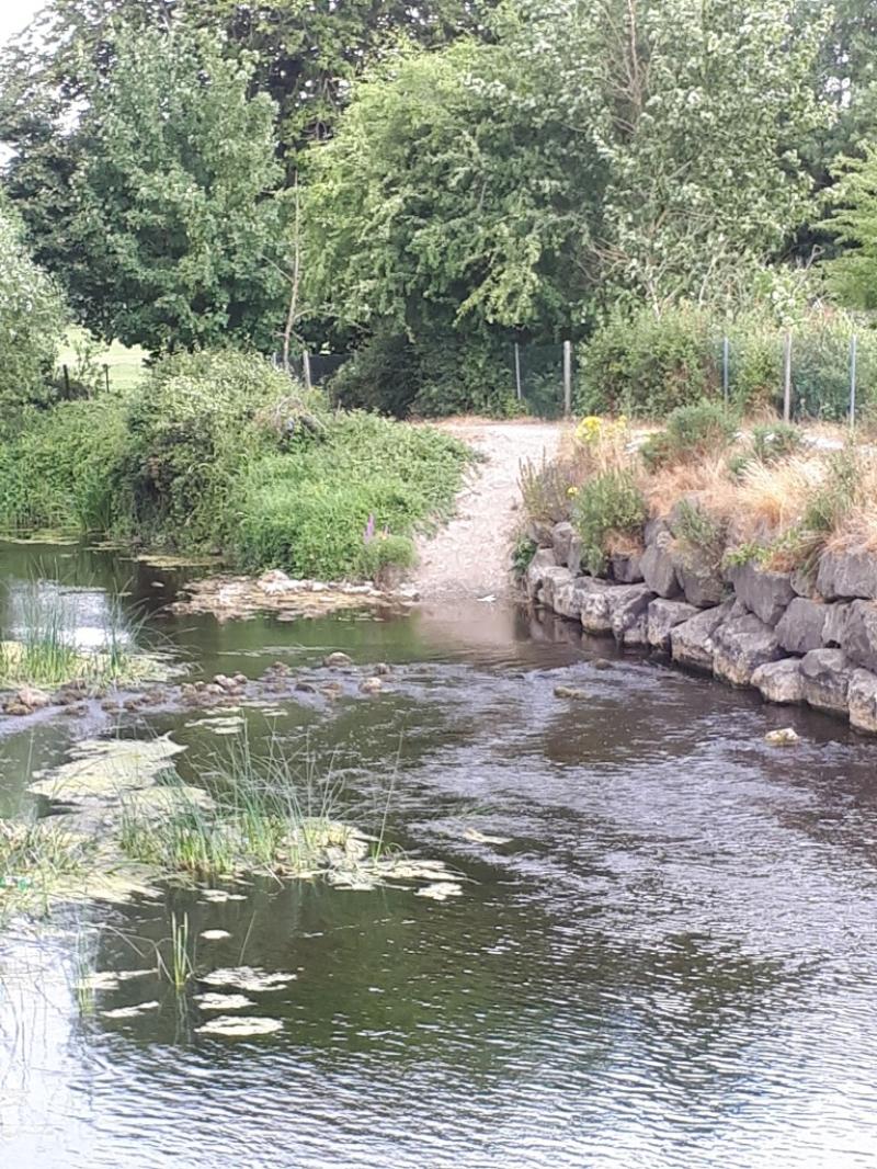 Breaking: Calls for action to be taken on Lady's Well river bank in Thurles 