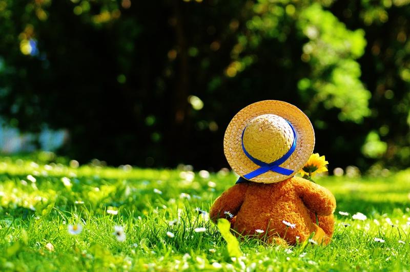 Teddy Bear's Picnic fundraiser for playground in Mullinahone
