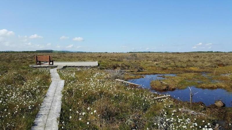 Boardwalk at Scohaboy outside Cloughjordan closed for works