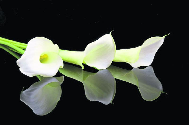 Tipperary deaths: health fundraiser and former teacher Joan Ryan, Cashel, passes away