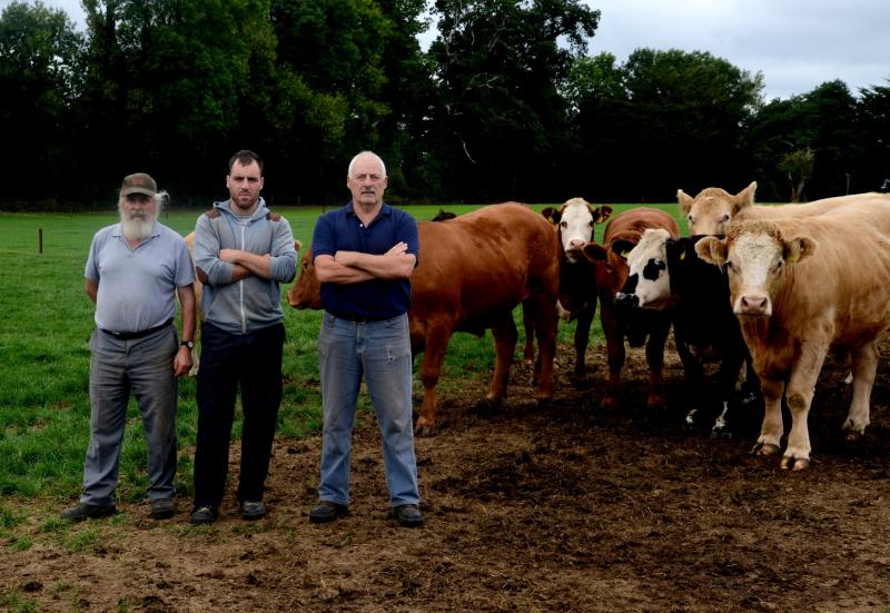 Farmers face soaring costs after worst grass growth in decades