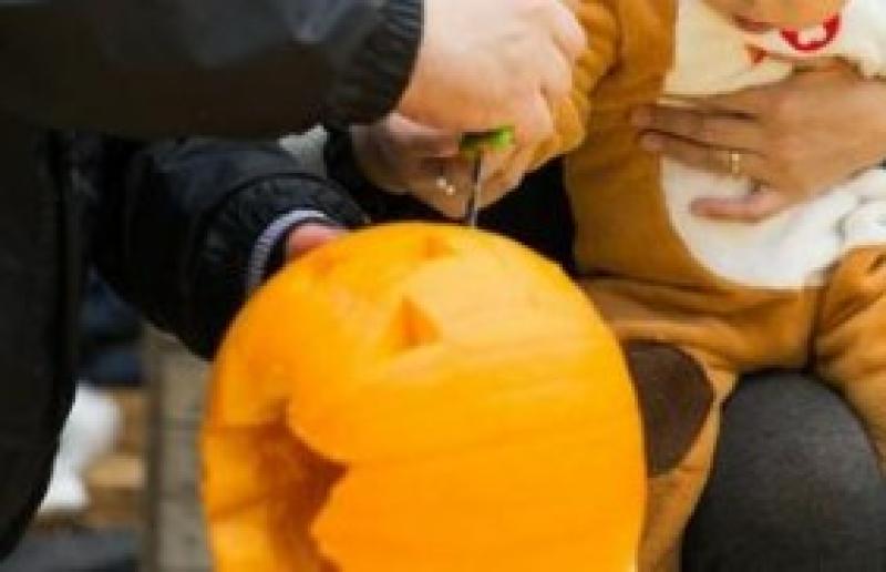 Fun day of woodcarving in Tipperary Town