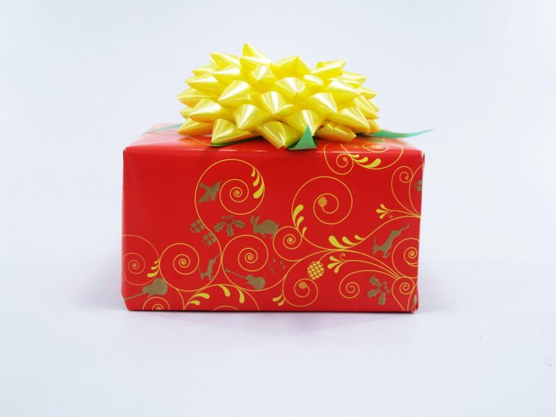 TEAM HOPE Christmas shoebox appeal