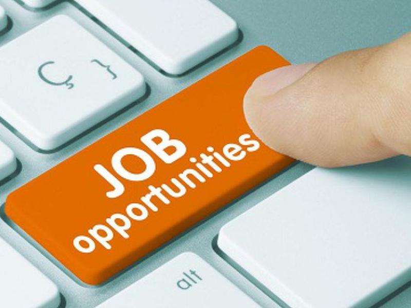 JOBSBOARD: This week's jobs from across the Premier County