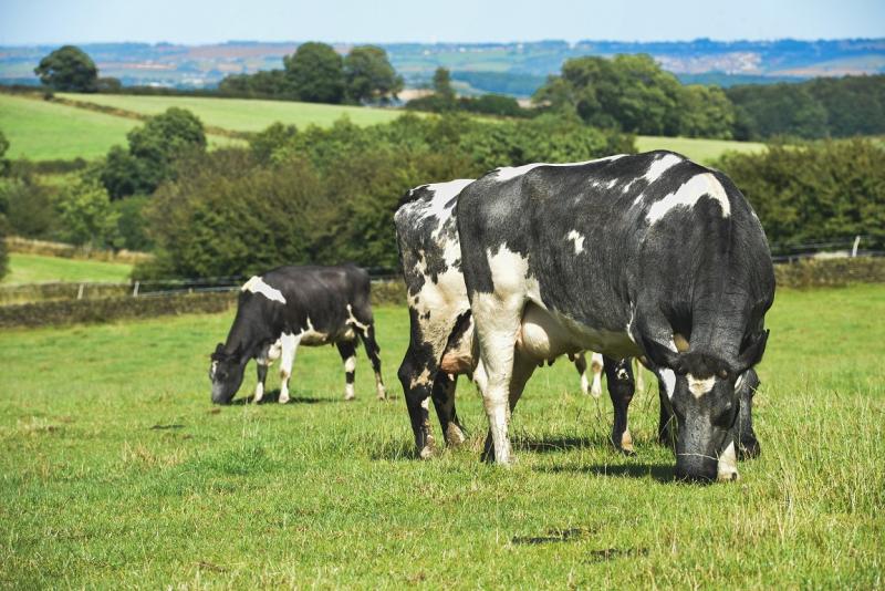 Farming vacancies with Farm Solutions Ltd
