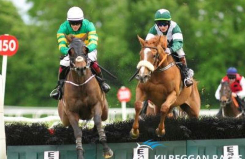 THE PUNTER'S EYE: Three horses worth backing this weekend 