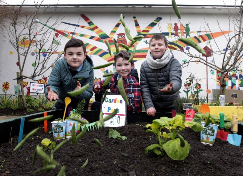 Tipperary national schools now invited to apply for free BIG GROW packs