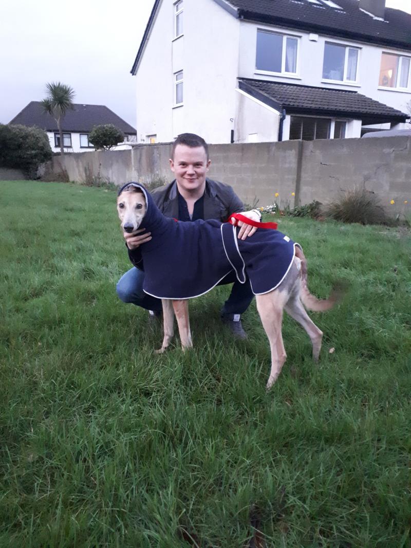 'Zero interest in our cats' Tipperary greyhound settles into new life