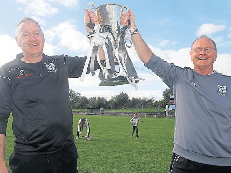 Eamon O&rsquo;Shea joins Liam Sheedy&rsquo;s Tipperary senior hurling management team in an advisory capacity