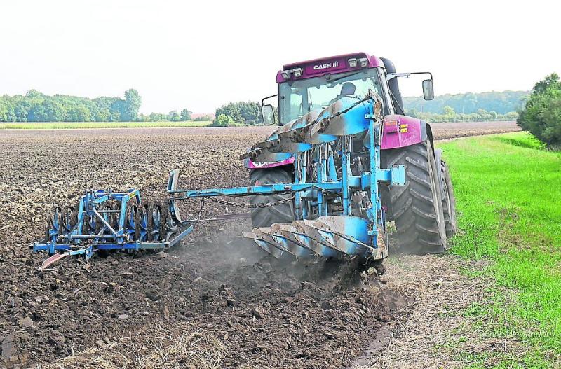 Don't Mind Me by Patricia Feehily: There's nothing more likely to induce panic than looming deadline