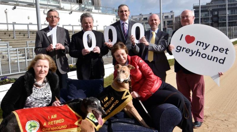 Irish Retired Greyhound Trust assists Tipperary rehoming agencies