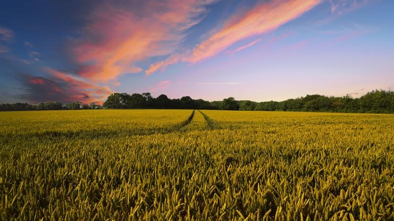 'Perfect fit': Intriguing workshops in County Tipperary this month 