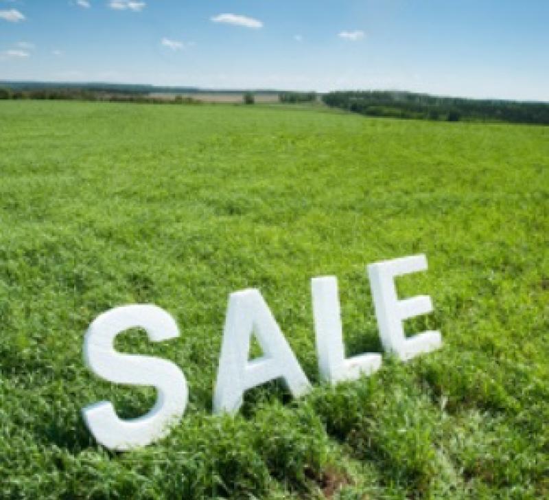 Tipperary land prices up as strong buyers in market 