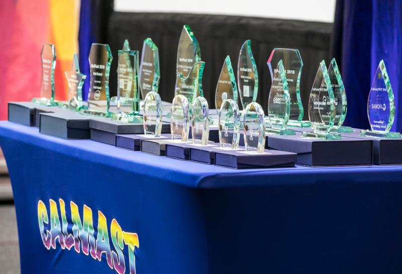 Extraordinary creations: Clonmel students dreaming of booking place at United States international event