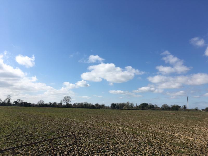 Desirable residential holding in Two Mile Borris / Littleton area comes onto the market 