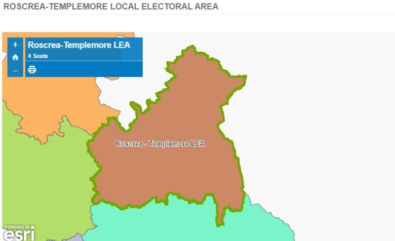 At a glance: profiles of the eight candidates vying for four seats in the Roscrea/Templemore Electoral Area 