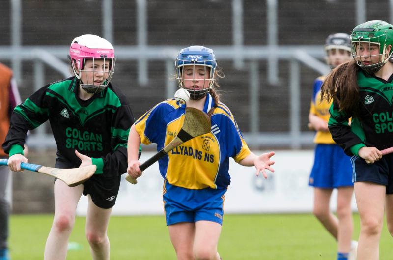 Tipperary Cumann na mBunscol finals take centre stage in Thurles today 