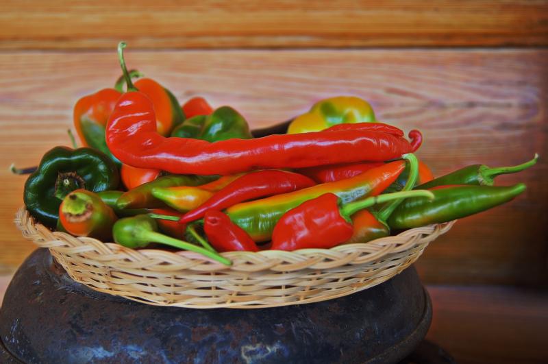 Gingergirl: A little spice and a lot of flavour with Mexican food