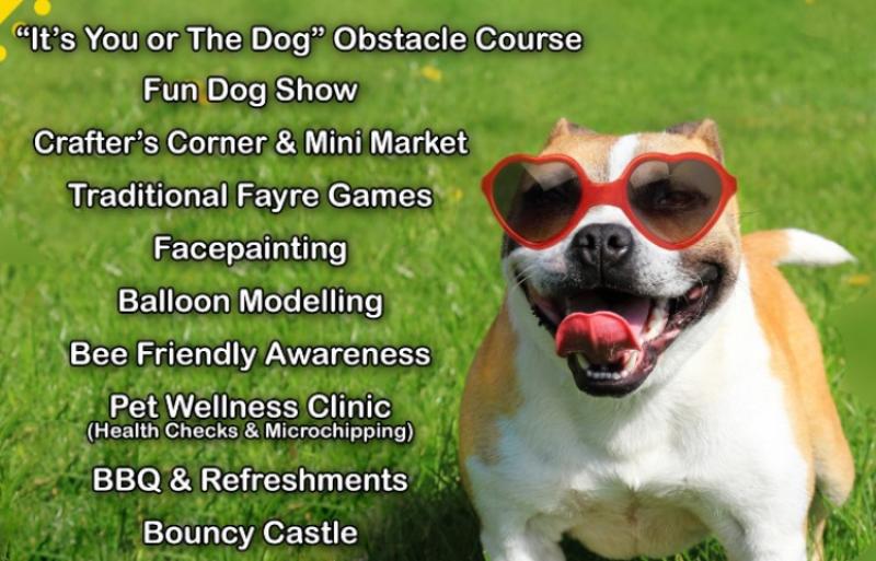 Mo Chara's Pawfest  is back for 2019!