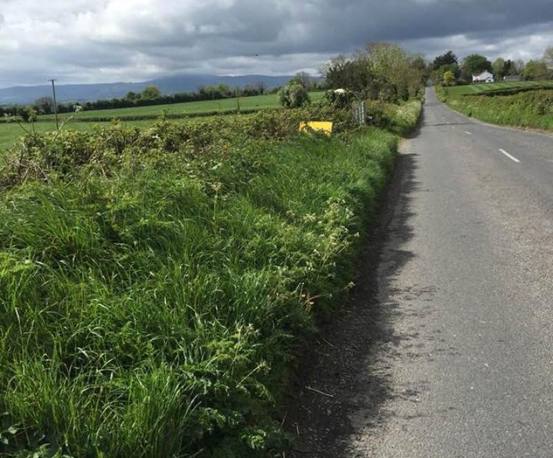 Tipperary Council Council urged to repair signposts