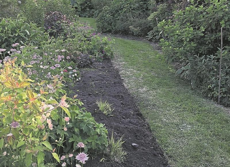 Garville Garden in Co Tipperary to hold a Charity Open Day