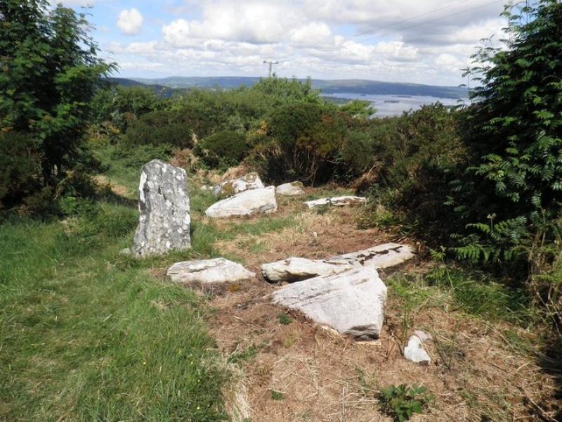 Tipperary heritage site among seven chosen for 'adoption'