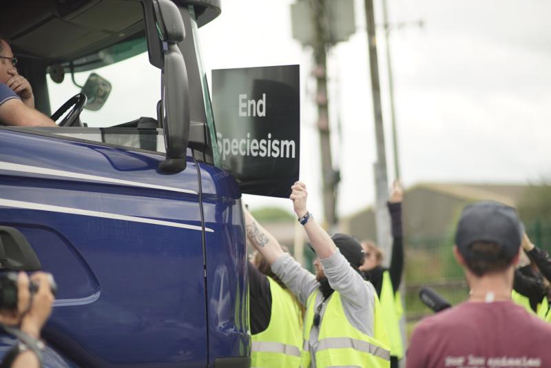 Animal rights protest