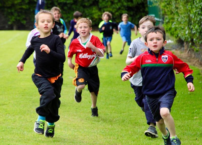 TipperaryLive photo gallery: Your week in pictures