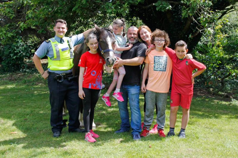 Celebrations as stolen pony returns to Clonmel     family