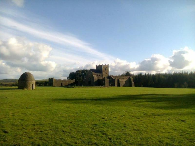 Cabragh Wetlands: Re-wilding the Tipperary landscape