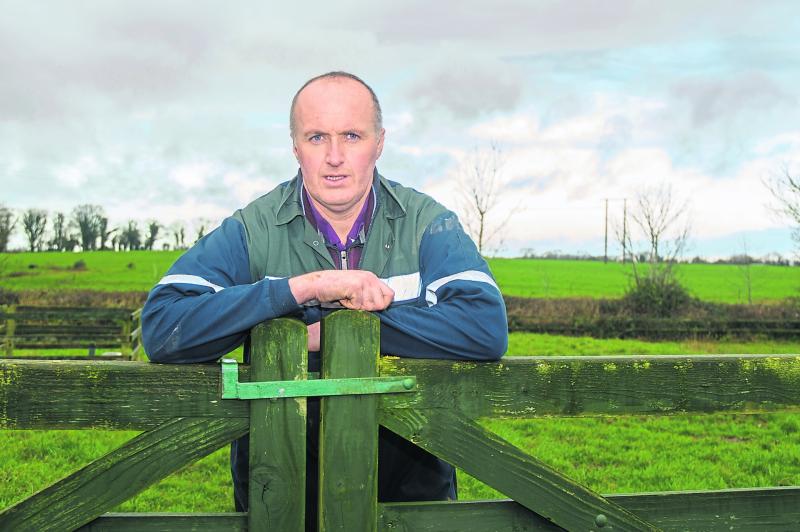 Tipperary man calls for Brexit aid package to benefit dairy farmers