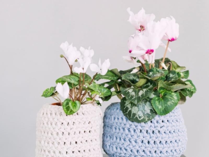 Gardening with James Vaughan: Watering plants while on holidays