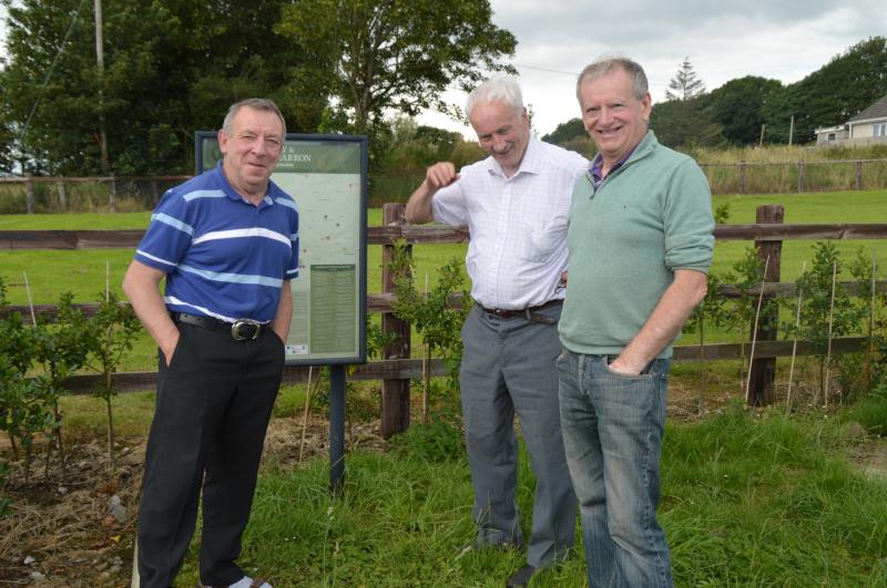 Tipperary War of Independence Tours