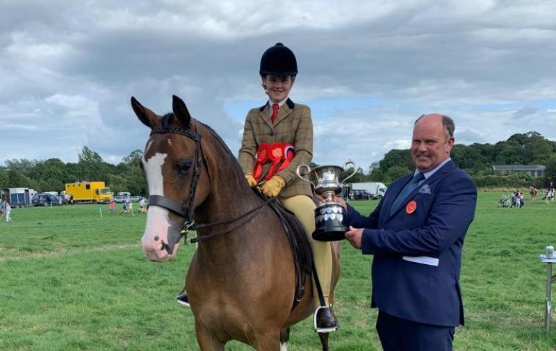 Young Tipperary rider to compete at Dublin Horse Show