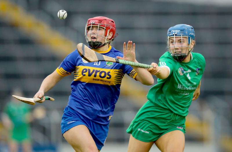 Tipperary camogie team need your support when the Premier County take on Kilkenny in Saturday's semi-final