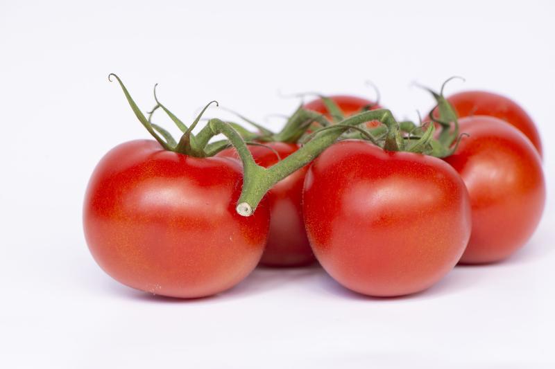 Gingergirl:  Getting the most from homegrown tasty tomatoes