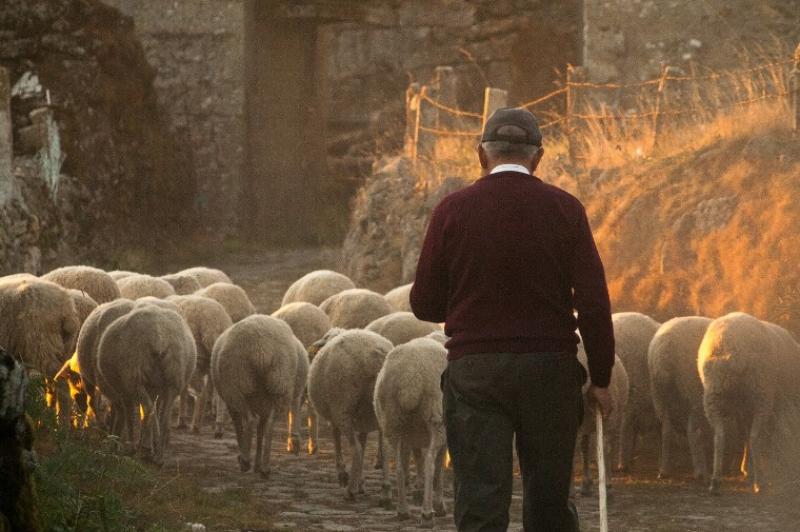 Matchmaker going to Ploughing in Carlow and will offer dating advice for farmers 