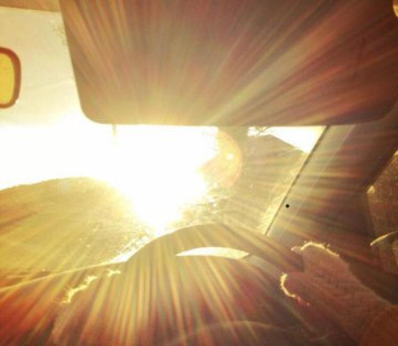 WARNING: Gardaí issue alert to motorists travelling to Ploughing 'into strong morning sun'