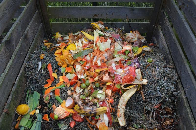Kildare firm joins initiative to reduce food waste