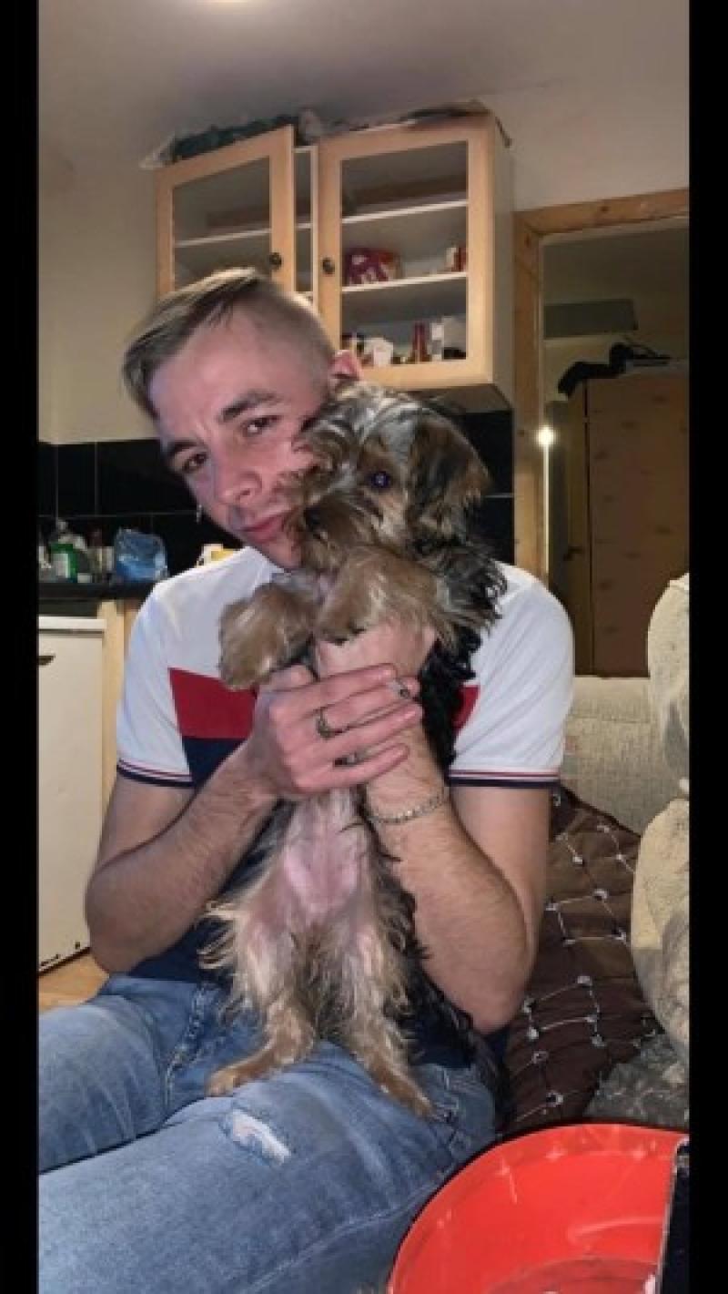 Grieving family search for late Limerick man's missing dog after horror crash
