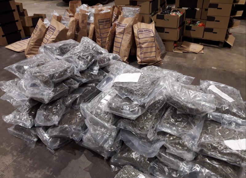 Tipperary dairy farmer linked to organised crime jailed over €730,000 cannabis haul