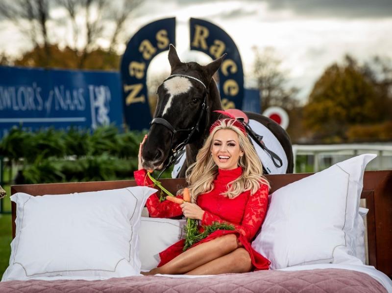 Kick start the New Year in style at Naas Racecourse