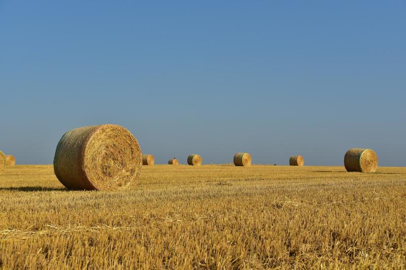 2019 Review of the Agricultural Land Market