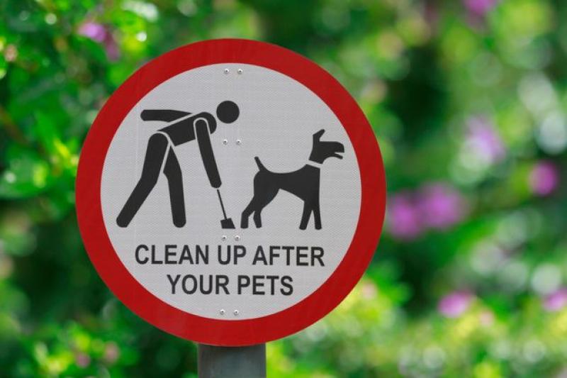 Bundoran residents kick up a stink about increase in dog poo