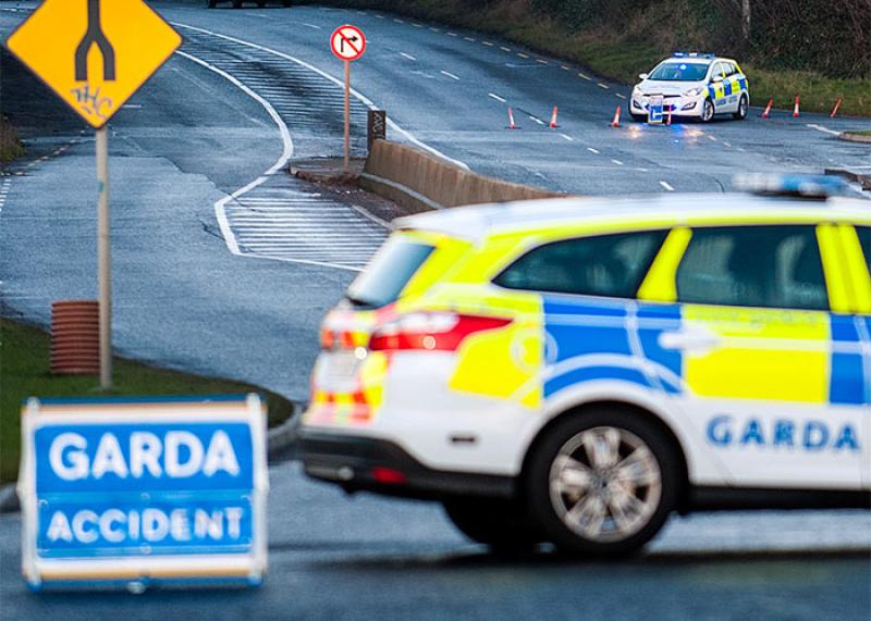 Carrickmacross gardai issue airport minibus incident witness appeal 
